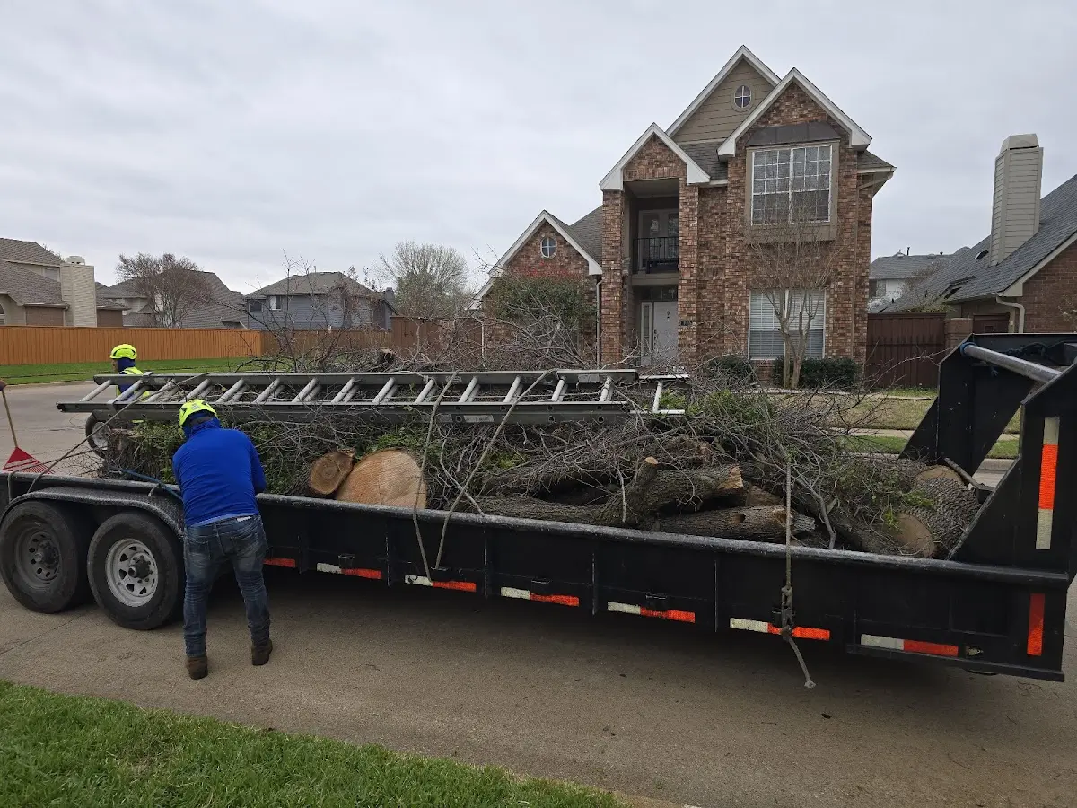 Expert Crown Reduction with proper safety equipment in Petoskey